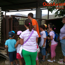 granja-escuela-lucena