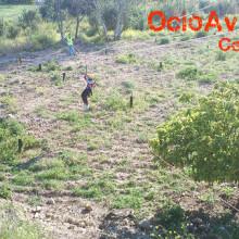 Excursión colegio Sevilla