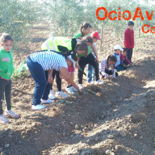 Excursión colegio Andalucía