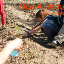 Excursión colegio a Granja Escuela Sevilla