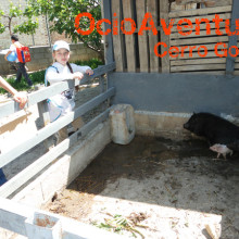 Excursión colegio a Granja Escuela Granada