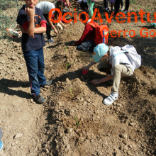 Excursión colegio a Granja Escuela Córdoba