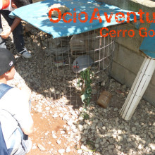 Excursión colegio a Granja Escuela Lucena