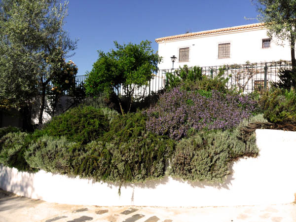 escapada-rural-cordoba-ocio-aventura-cerro-gordo